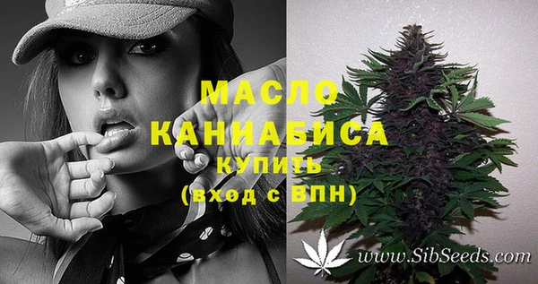 прущая мука Дмитриев
