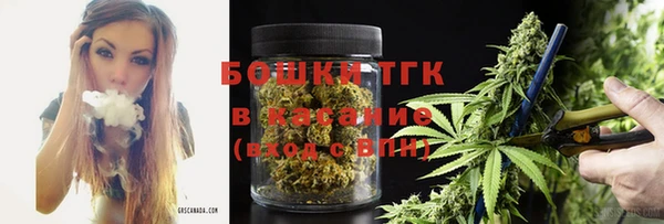 прущая мука Дмитриев