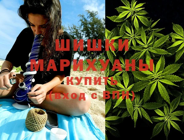 прущая мука Дмитриев