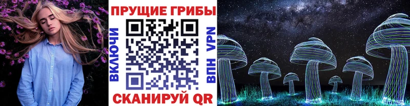 Купить где  Светлый  Псилоцибиновые грибы мухоморы 