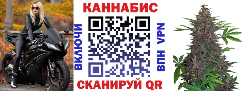 Купить где  Светлый  Канабис сатива 